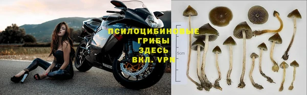 мяу мяу мука Липки