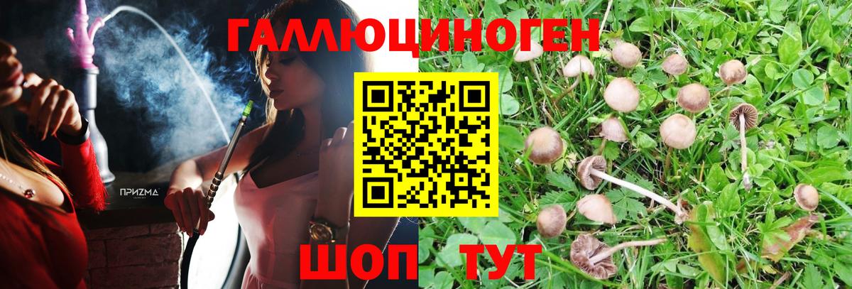 Псилоцибиновые грибы MAGIC MUSHROOMS Новомосковск